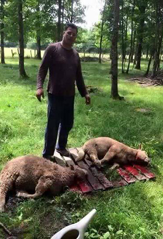 بالفيديو والصور: هكذا احتفل الناجي الوحيد من سقوط الطائرة المصرية!